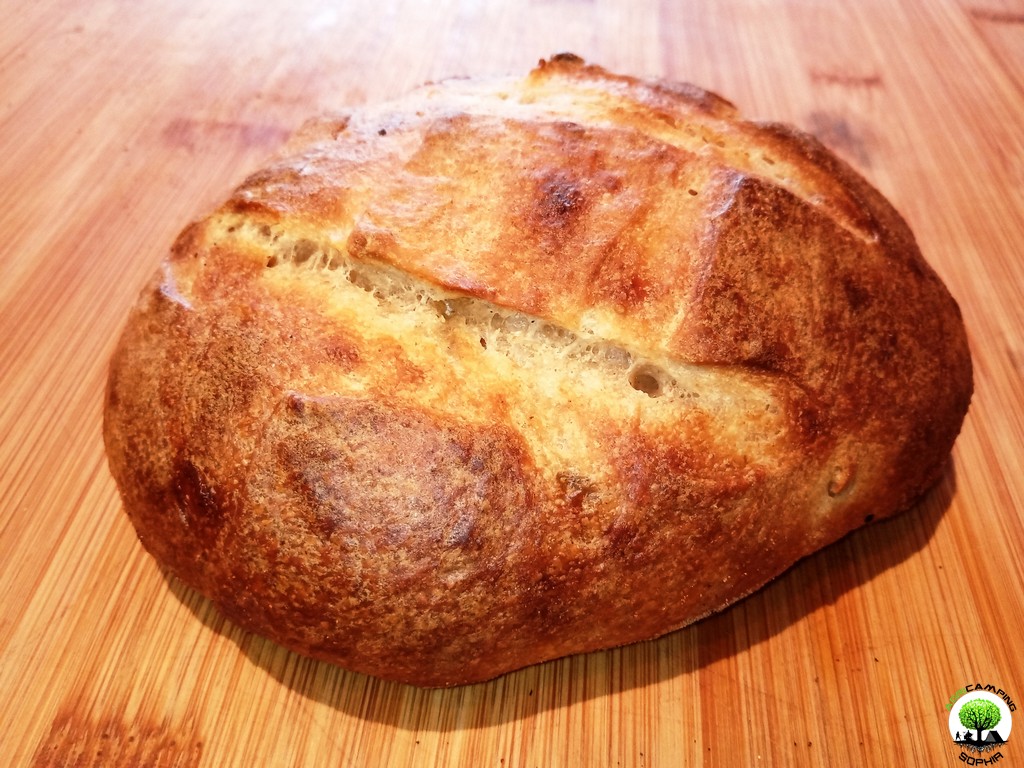 Pane Poolish.jpg